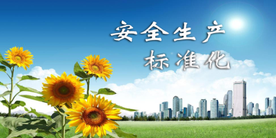什么是安全生產(chǎn)標(biāo)準(zhǔn)化？
