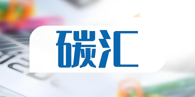 什么是碳匯？